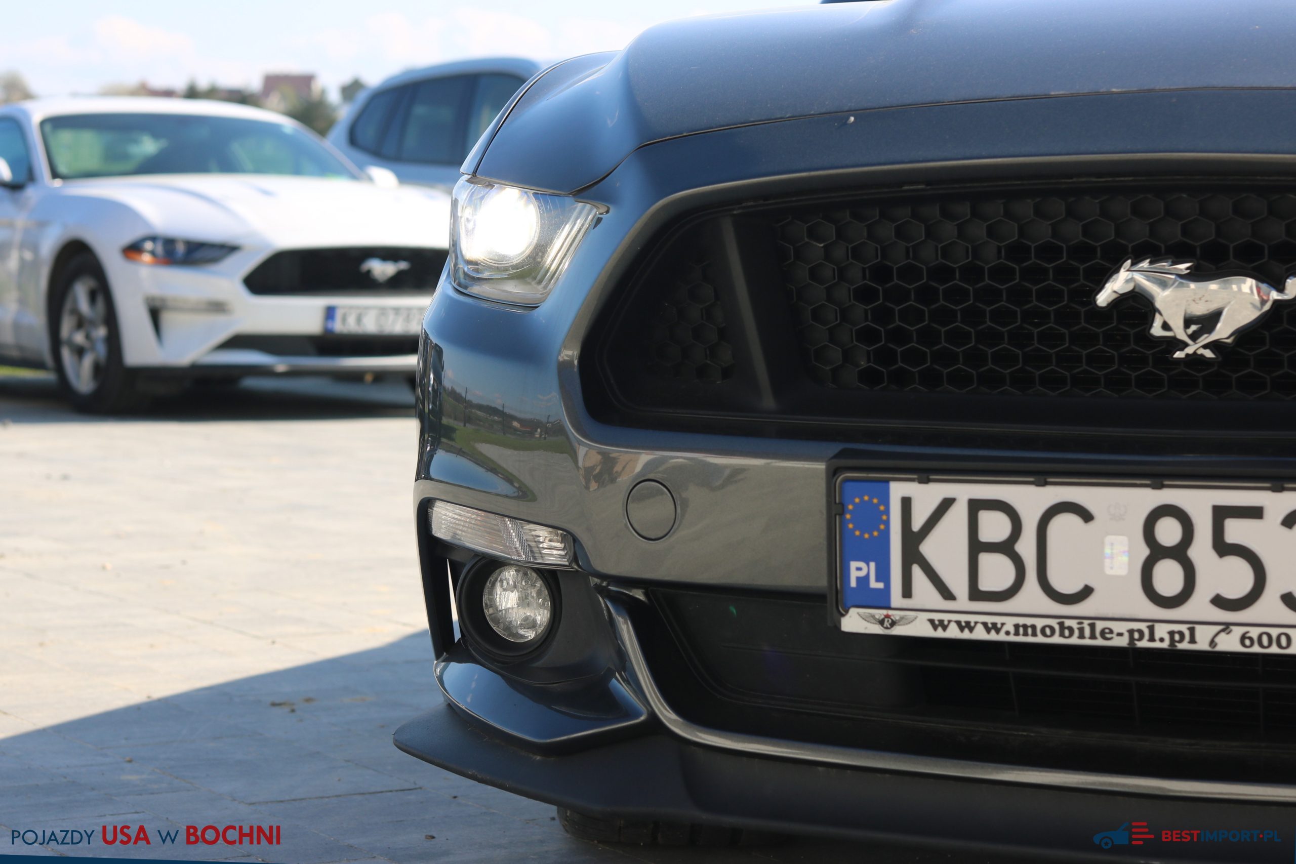 bestimport-ford-mustang-gt-2016-aukcja-1