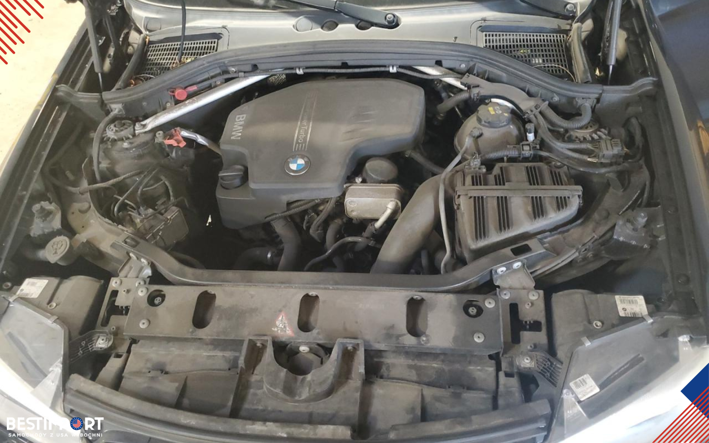 BESTIMPORT ZDJĘCIA WWW11