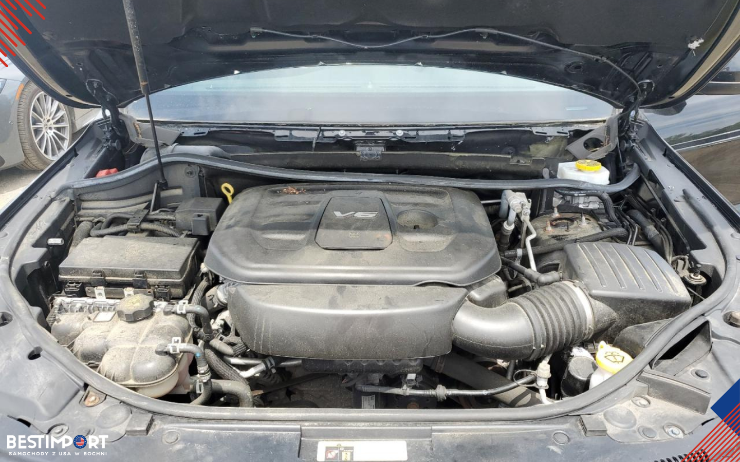 BESTIMPORT ZDJĘCIA WWW11