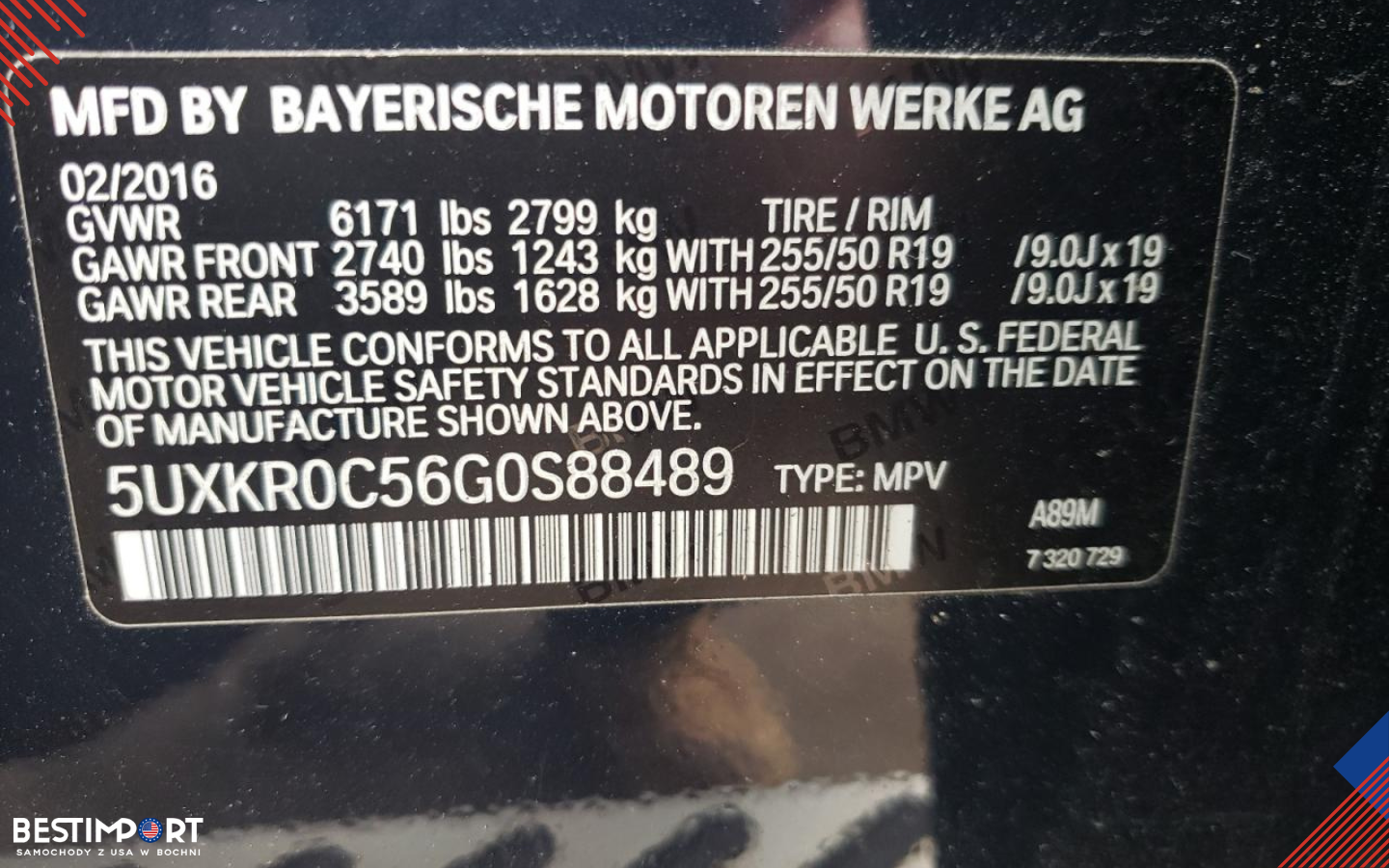 BESTIMPORT ZDJĘCIA WWW12